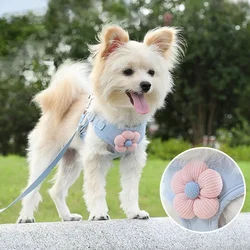 Pet Vest Traction Rope Dog Cartoon Three-Dimensional Accessories Teddy Walking Dog Rope Cat Going Out Chest and Back Protection
