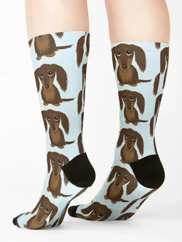 Longhaired Chocolate Brown Dachshund Cartoon Dog Socks kawaii christmas gift fashionable hiphop Men's Socks Women's