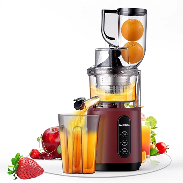 Commerciële Industriële Slow Juicer Aangepaste Grote Mond Fruit Extractor Elektrische Stroombron Koude Pers Sap Machine