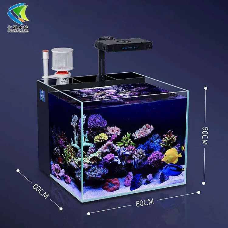 Factory Hot Sell Desktop Fish Tank Integrated Fish Tank Equipped with Lamp Filter Purification Ultra White Glass Material