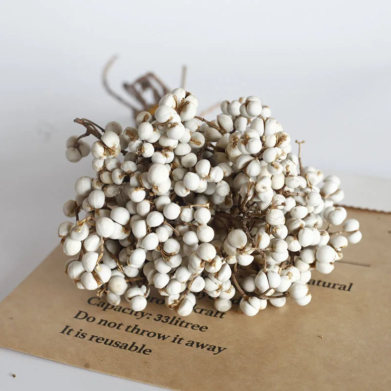 باقة زهور التوت الأبيض المجففة - فروع الفاكهة البيضاء المجففة الطبيعية، زهور ديكور المنزل البسيطة، زهور يدوية متعددة الاستخدامات #1