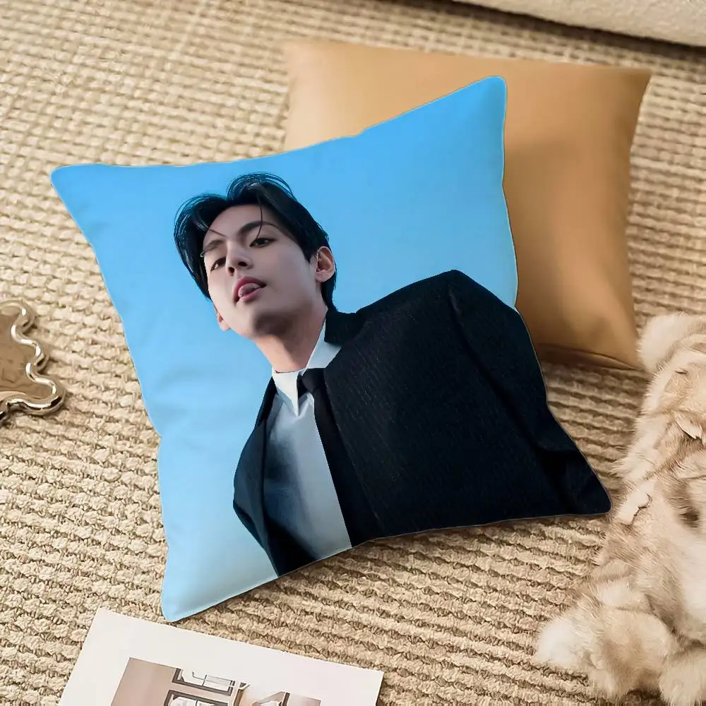 كيس وسادة كارتون K-Kim TaehyungS مضاد للغبار وسحاب غير مرئي لسرير الأريكة #4