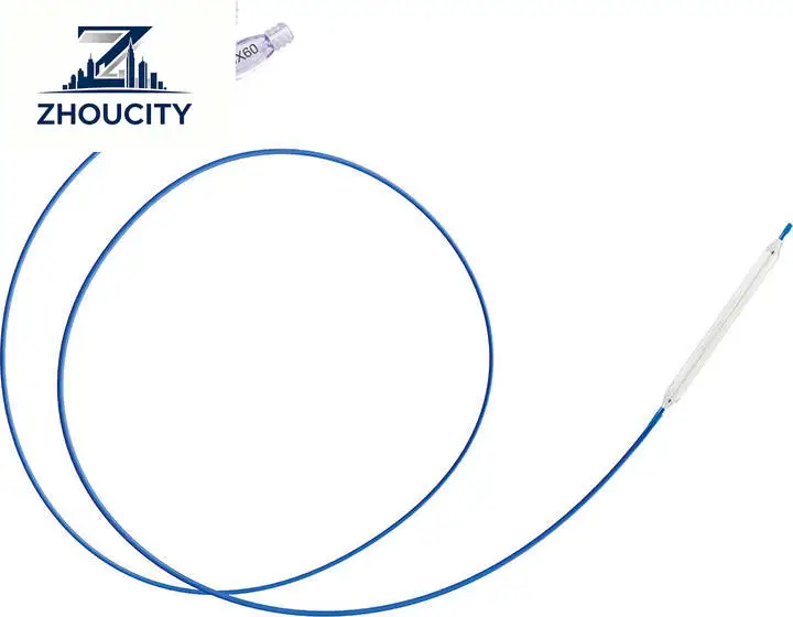 Disposable Ureteral Balloon Dilatation Catheter and Accessories (Metal & Plastic 2.4Fr/6Fr) for Urology CE Certified