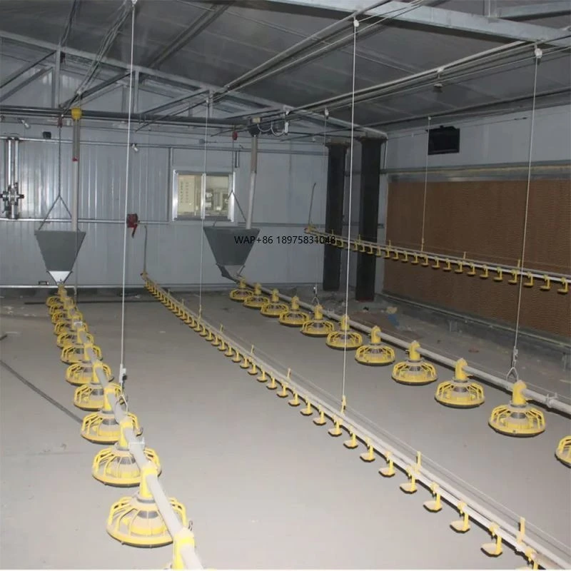 Turnkey Project Full Capacity Henhouse Farm Shed Coop Layer Broiler Farm Raise Grow Equipment Chicken Poultry Breed System Line