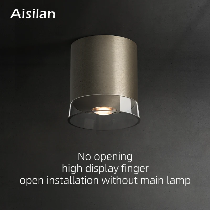 Aisilan LED Surface Mounted Downlight 7W High CRI 97 Nickel Color Double Lens Ceiling Spot Light for Living Room Hallway Bedroom