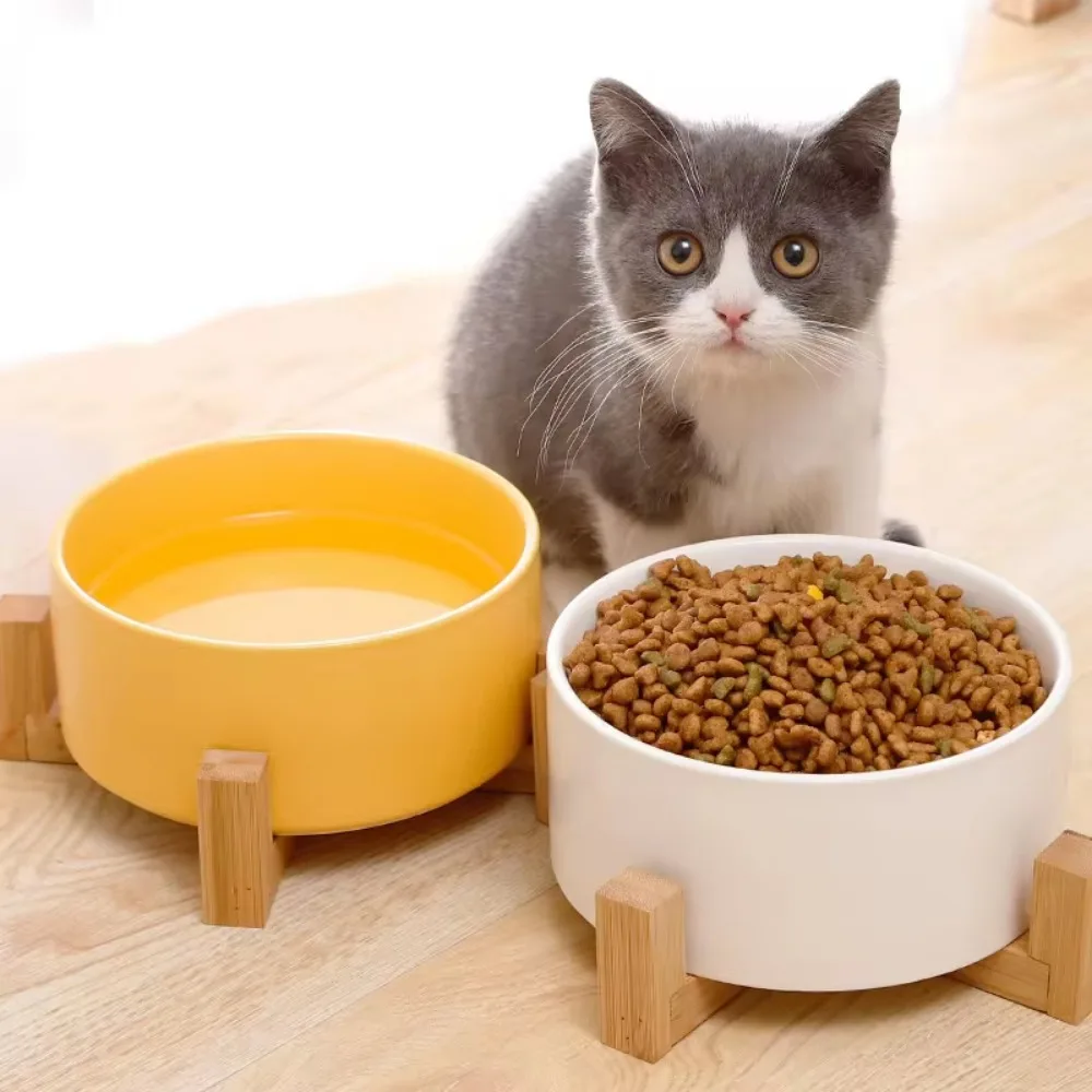 Dog Bowl Cat Food Water Bowls with Wood Stand No Spill Large Feeder Dish for Dogs Cats Feeding Puppy Pet Supplies