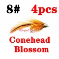 blossom CH