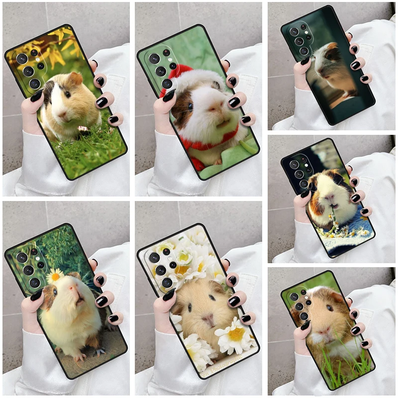 Phone Case For Samsung Galaxy S24 S23 S21fe S22 Ultra Plus Note 10 20 S8 S9 S10 Cover Creative Simple Cute Guinea Pig