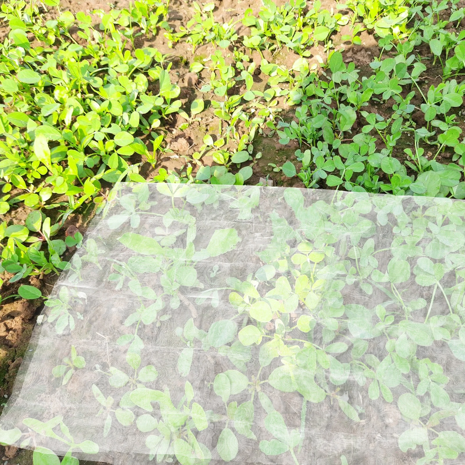 

1 Roll Cuttable Mesh Garden Insect Netting Uv Resistant Plant Protection For Vegetables Fruits Flowers Anti Bird Mosquito