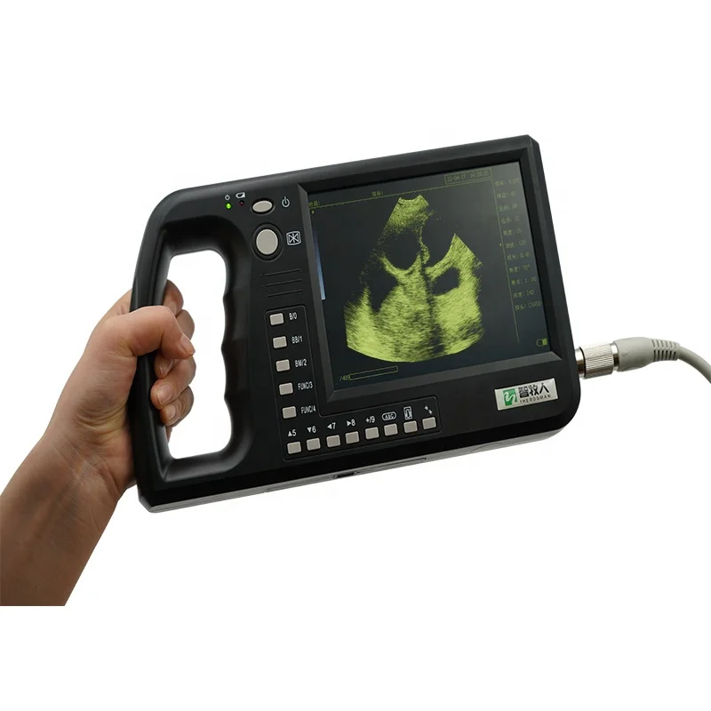 Multifunctional Veterinary Animal Pig Sow Sheep Ultrasound Scanner Cattle Horse B Ultrasound Pet Dog Pregnancy Test Machine