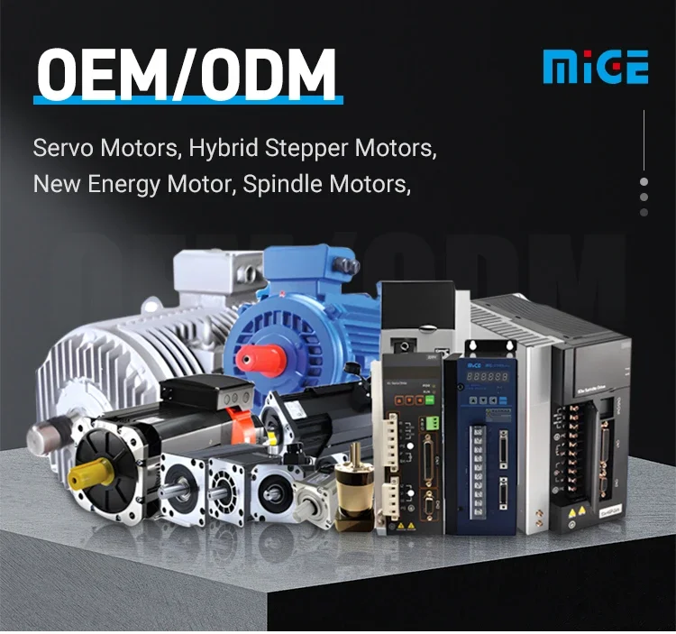 Promotional Price Great Power High Torque High Speed Ac Servo Motor in Controlling System