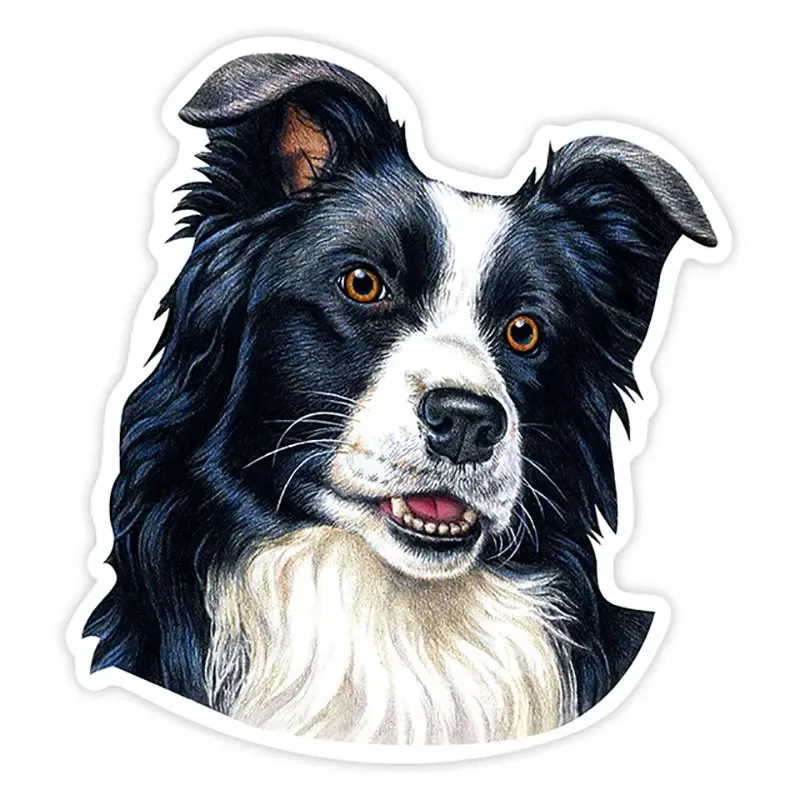 

Various Sizes Self-adhesive Decal Border Collie Dog Car Sticker Waterproof Auto Decors on Bumper Rear Window 7.4x8 cm PVC KK