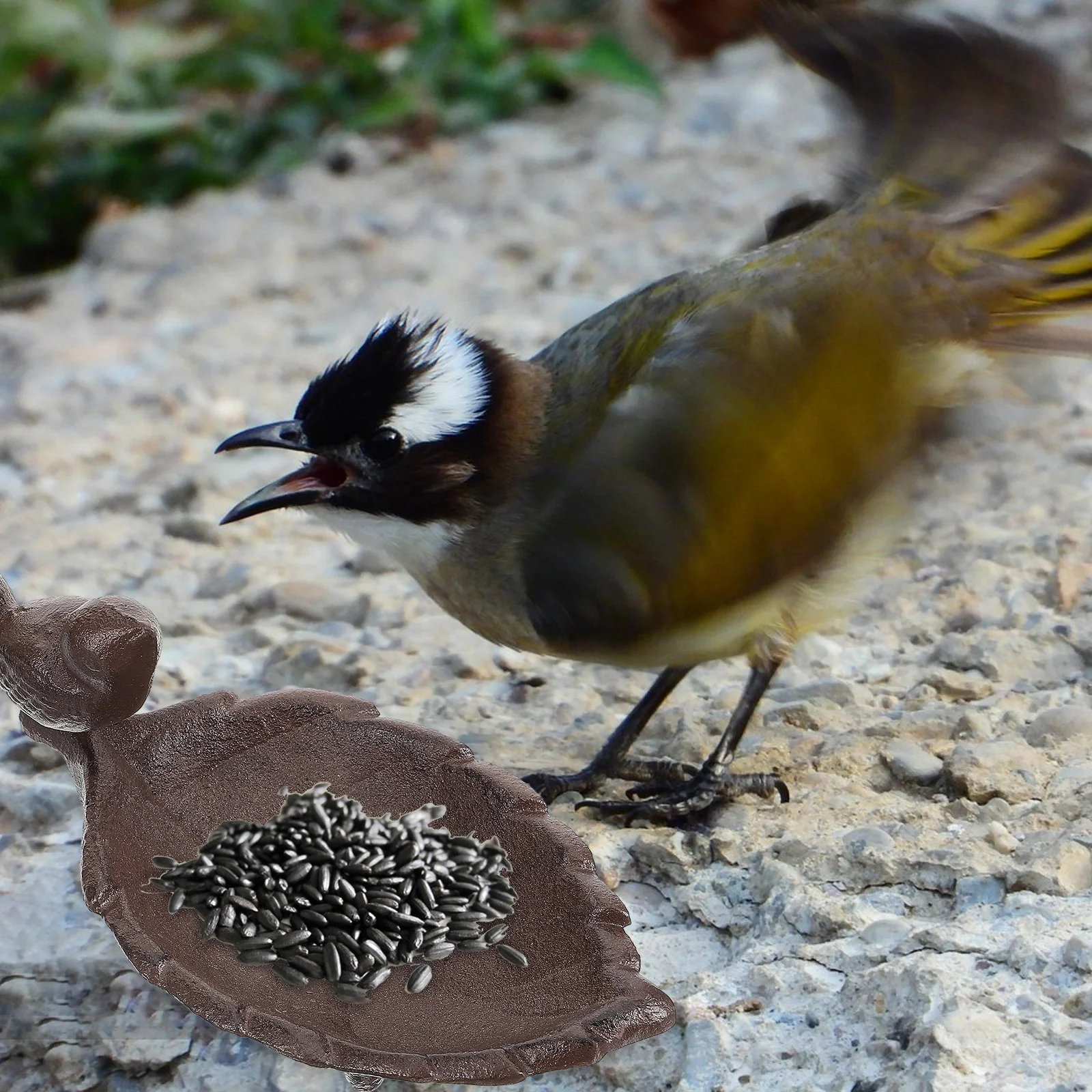 

Feeder Tray Unique Shape Design Household Garden Ornament Natural Environment Feeling Decor