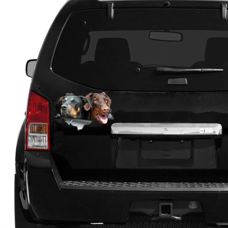 Black and tan dobbie decal, natural doberman decal, doberman magnet, doberman car decal