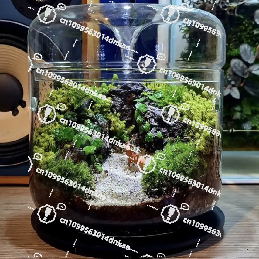 Micro Landscape Bottle Dew Collection Cup Ecological Bottle DIY High Borosilicate Fern Office Desktop Container Stuffy Moss