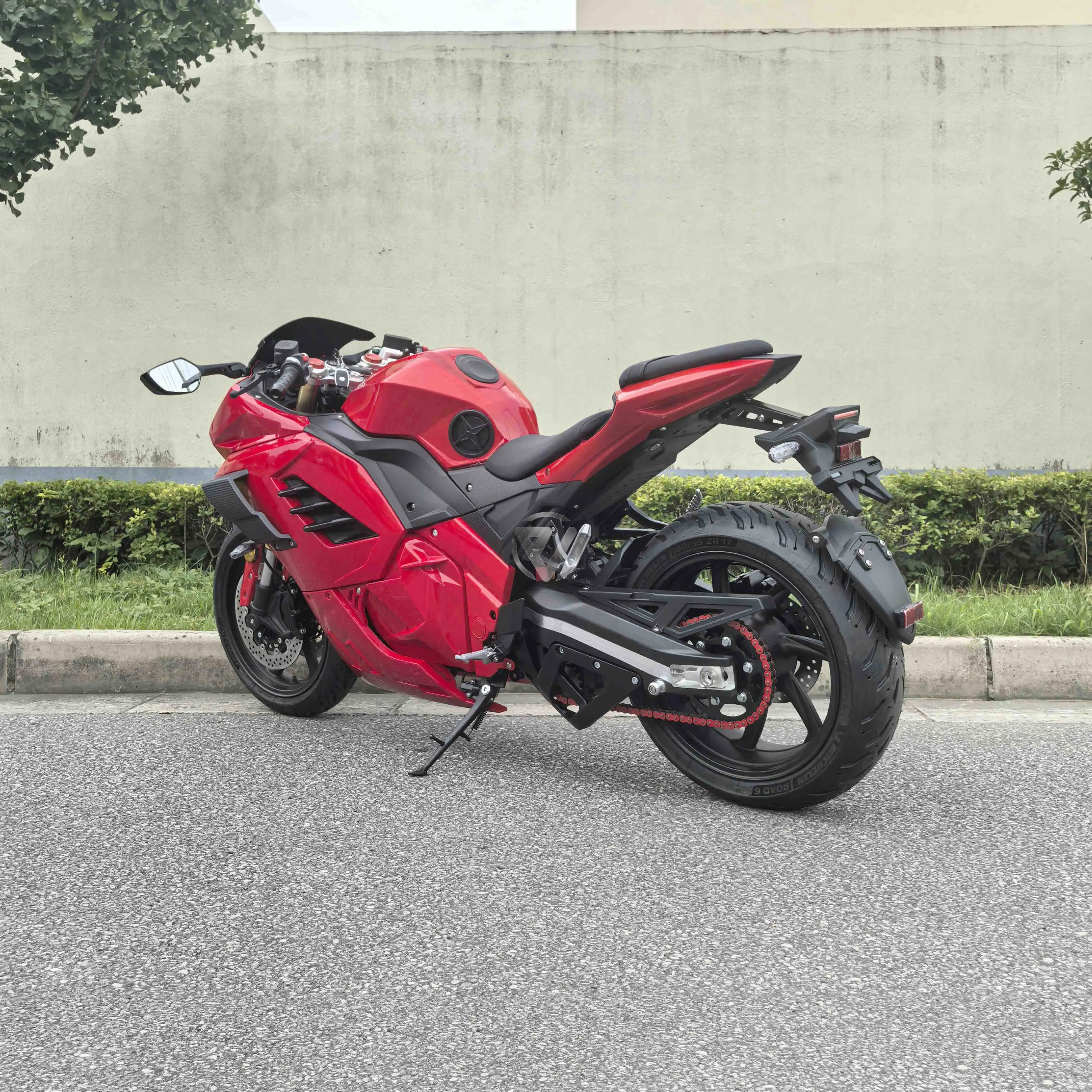 Ducati Panigale Style 15KW Electric Motorcycle 96V120Ah Battery 170km/h Street Racing E-bike with Intelligent Dashboard