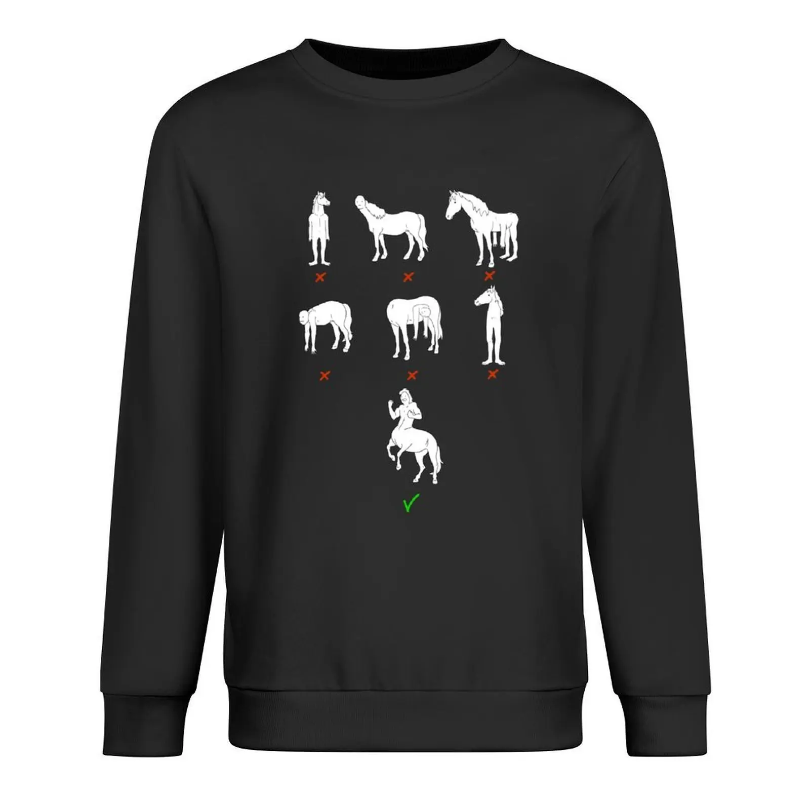 

Incorrect Centaurs Pullover tracksuit mens clothes men's sweat-shirt fashion men sweatshirt for men