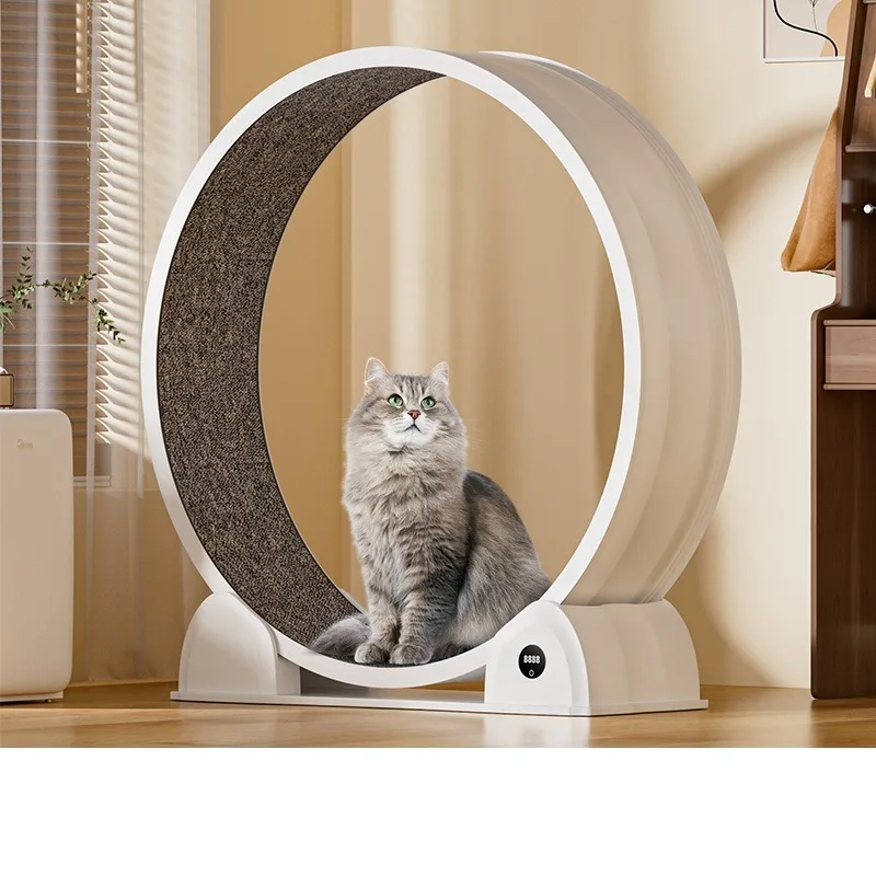 Cat Treadmill Large Diameter Plastic Cat Wheel Pet Fitness Silent Roller Toy
