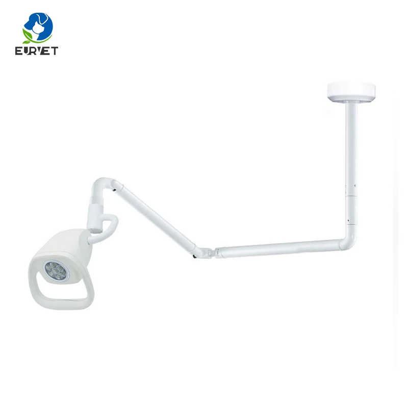 EUR VET Best Selling Animal Surgical Examining Light Veterinary Equipment Practical Ceiling Mounted Veterinary Light