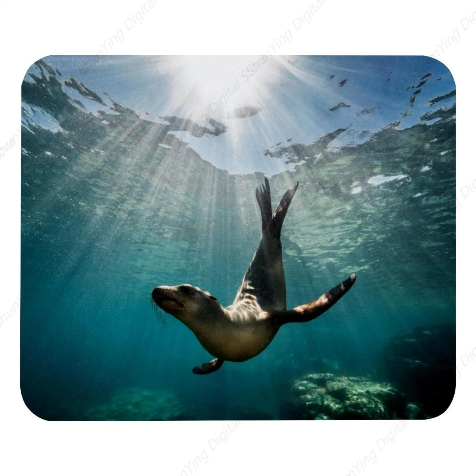 

California Sea Lion Seal Enjoys Sunshine Mouse Pad Suitable For Gaming Office Laptop Non Slip Mouse Pad 25*30cm