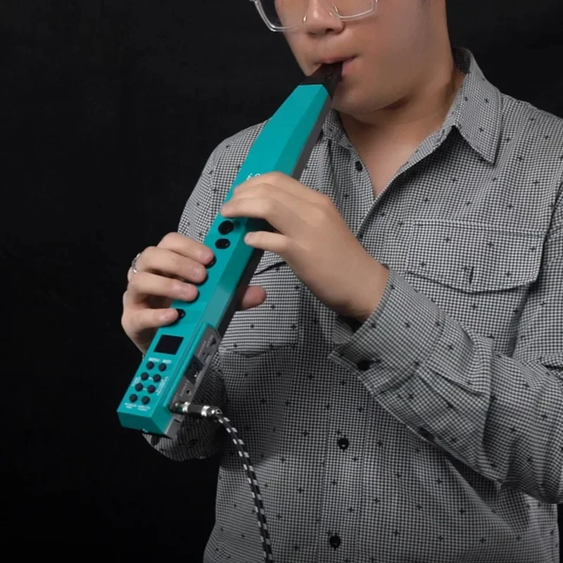 High Quality Saxophone USB LCD Sax Clarinet Violin Trumpet Sounds Amplifier Jack Beginner Older SET