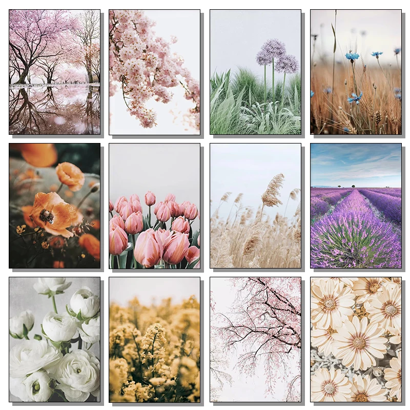 Spring Flowers Sunflower Peony Lavender Sakura High Quality Photography Poster Canvas Paintings Wall Art Pictures Home Decor