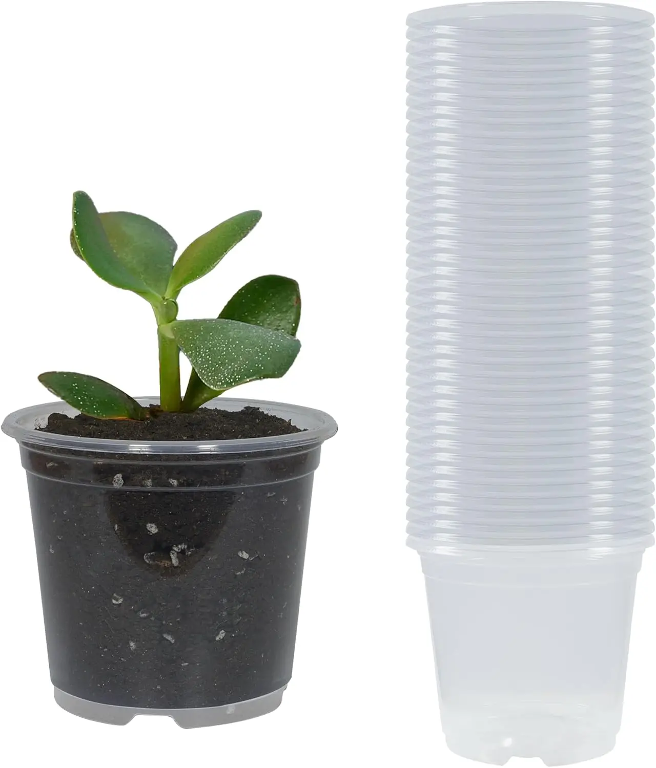 40 Pack 3 Inch Clear Nursery Pots with Drainage - Transparent Plant Containers for Seed Starting & Root Growth Observation