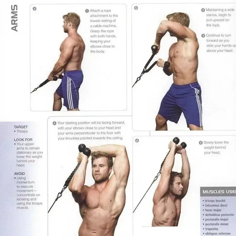 Triceps Rope Cable Attachment 6