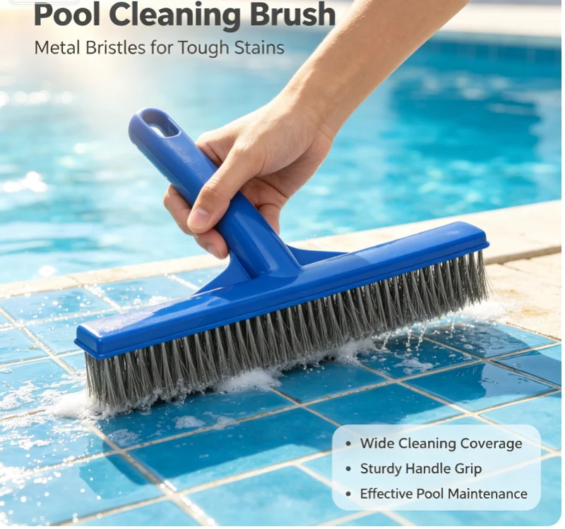 1Pcs Stainless Steel Bristle Heavy Duty 10 Inch Algae Brush For Swimming Pool Spa Fountain Cleaning Tool