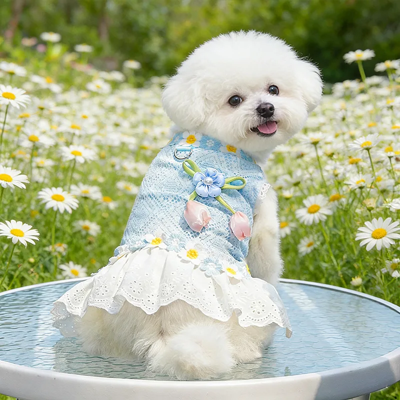 Vestido de verano para perros – Encaje margaritas Chihuahua Bichón