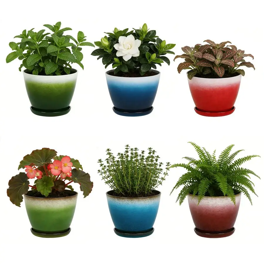 

Garden Plastic Round 8 Plant Pots Set of 6 Multicolor Small Gloss Flower Pot Planters with Drainage Hole and Saucer Home Decorat