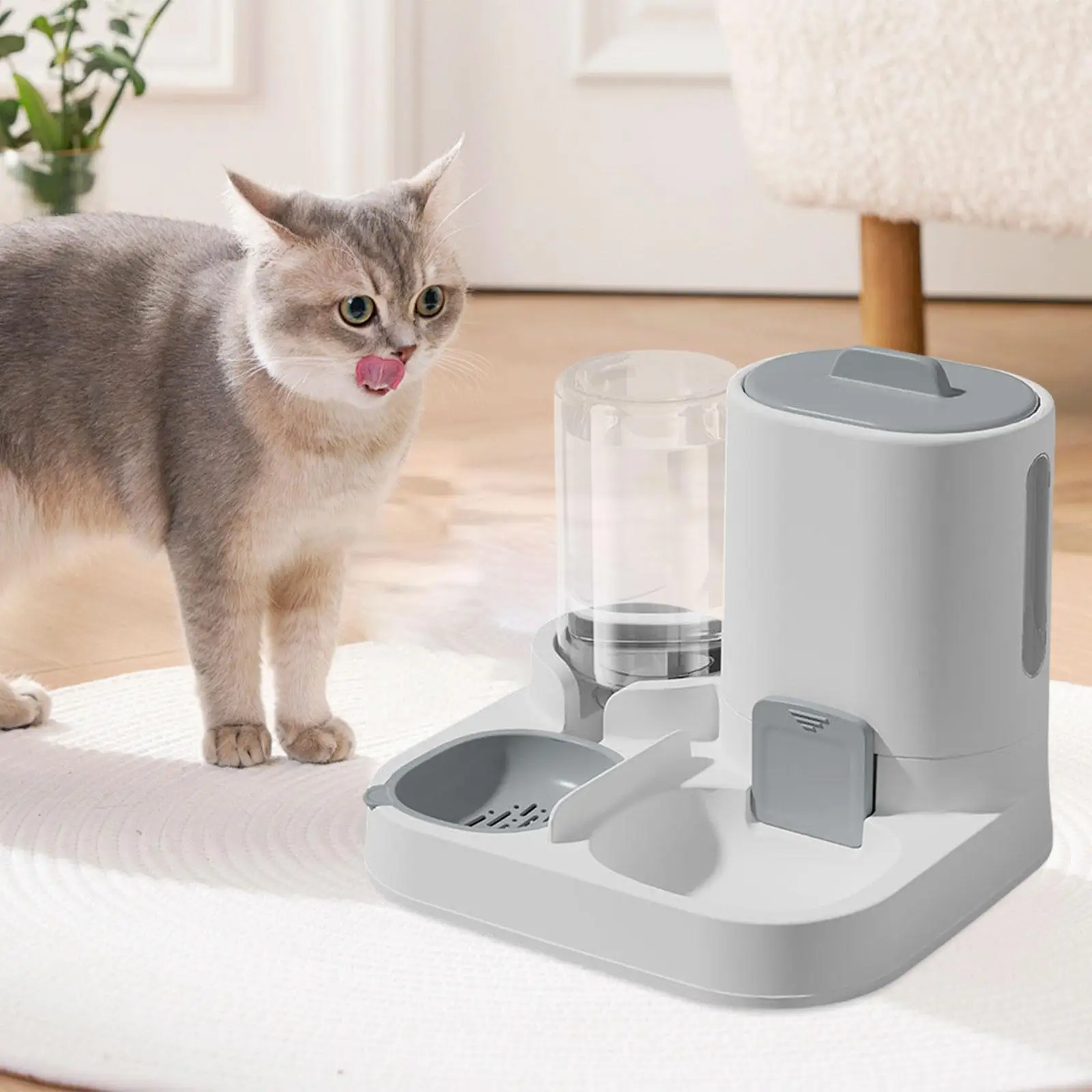 #21 Best Automatic Cat Feeders to Buy In 2026