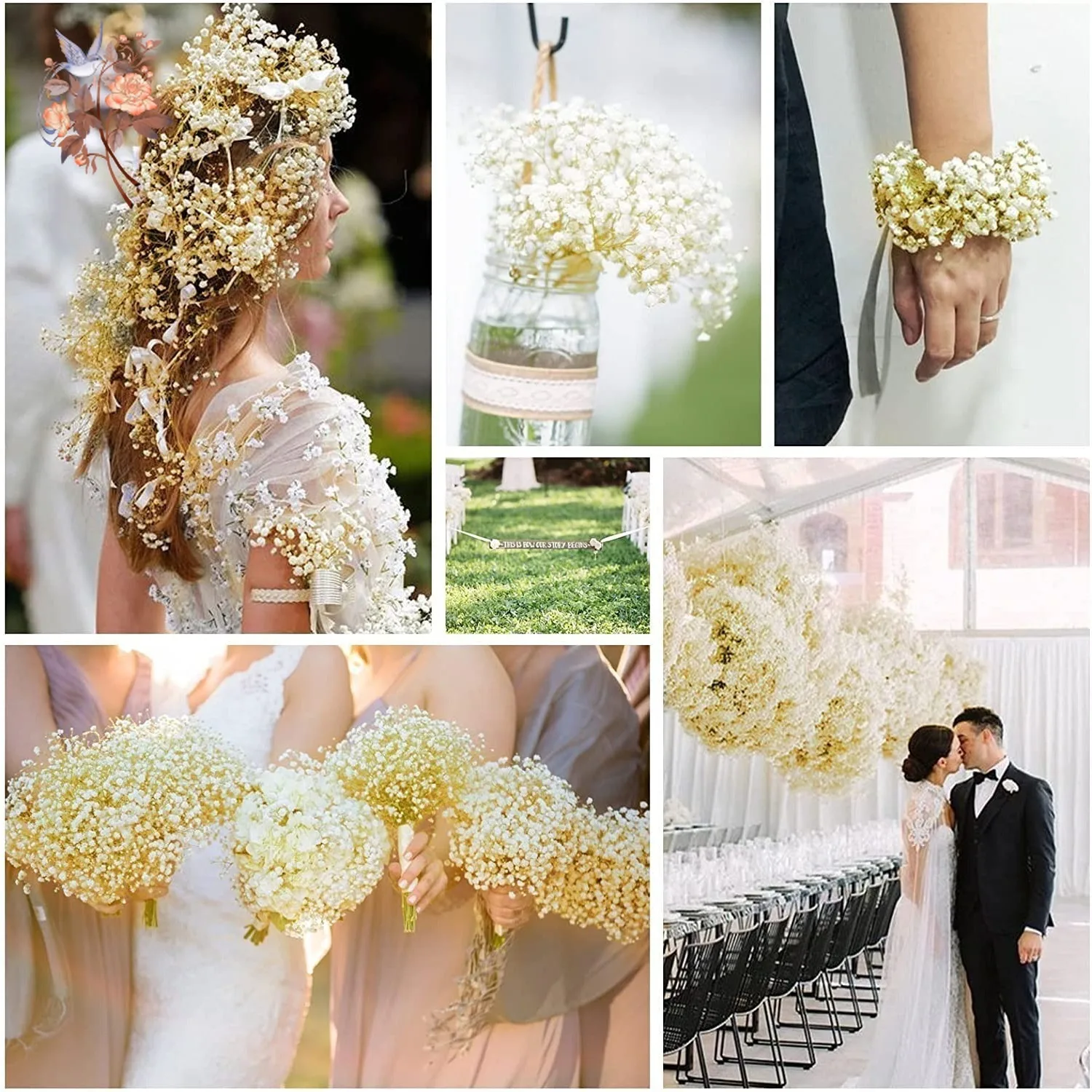 Natural Fresh Dried Flowers Gypsophila Wedding Decoration Bridal Bouquets Baby Breath Flower Boho Home Room Ornament Gypsophile