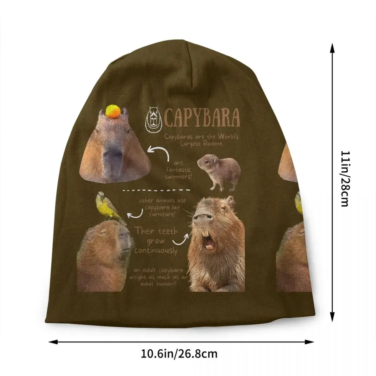 Capybara Fun Facts Bonnet Hats Cool Knit Hat For Men Women Autumn Winter Warm Skullies Beanies Caps