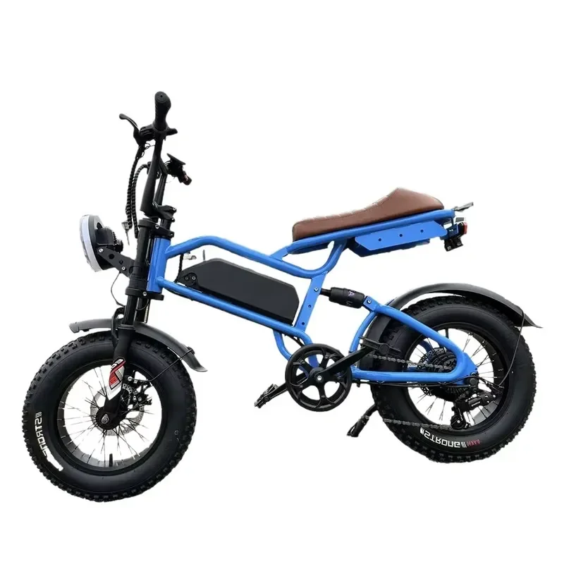 Comfortable 350W 750W Front Rear Shock Absorption High Carbon Steel 48V Lithium 16 Inch Tire Mountain Bike Electric