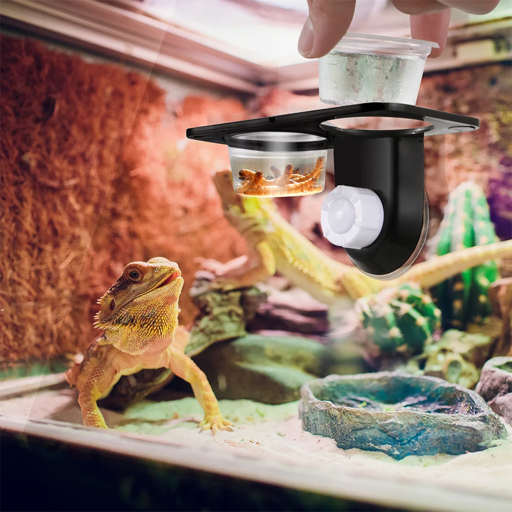 

2pcs Reptile Bowl Suction Cup Lizard Feeder Water Tank Turtle Terrarium Food Dish Reptiles Aquarium Pet Supplies Easy Clean