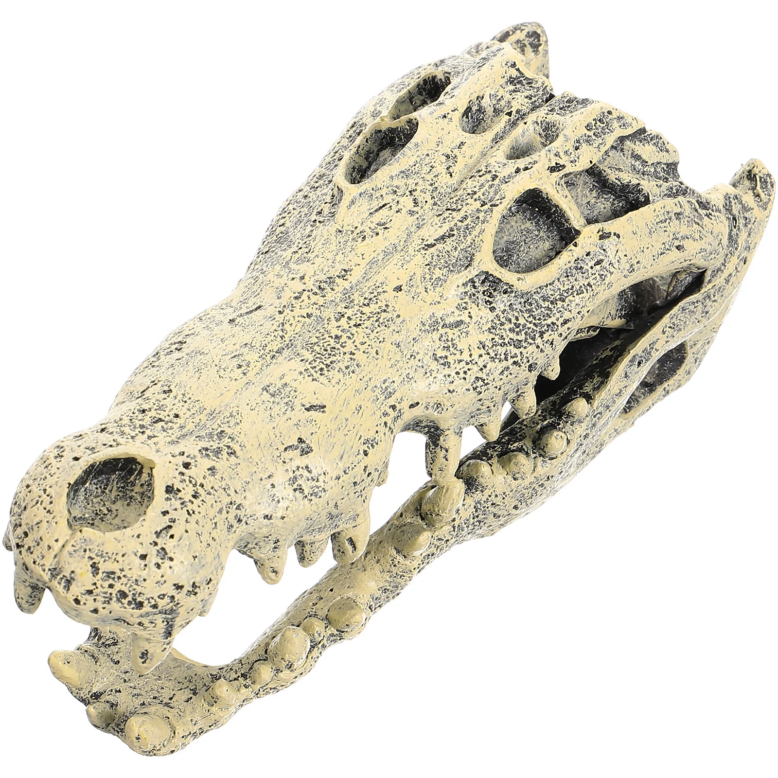 

Lifelike Resin Dinosaur Skull Statue Chic Desktop Decor Change Old Style Home Garden Landscape Ornament Dinosaur Skull