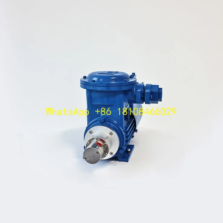Industrial Transfer Pump Leak-Free and No-Disassembly Gear Pump with Magnetic Coupling Anti-Corrosion Features