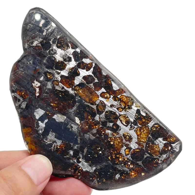 27.6g Quality Brenham Olive Meteorite Slice Natural Meteorite Material Olive Meteorite Specimen Artwork Collection TA736