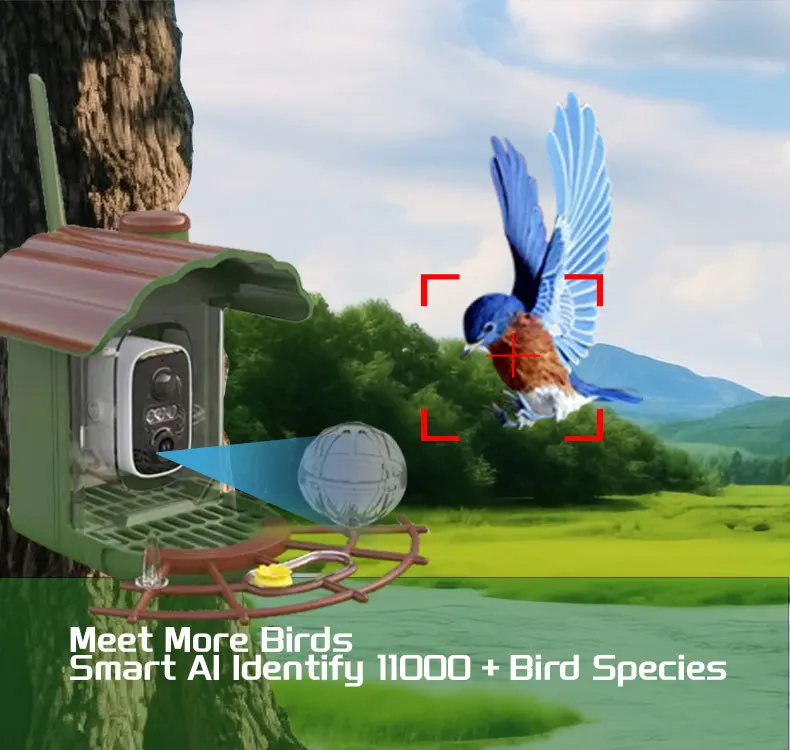 Outdoor Solar Bird Feeder Camera Hummingbird Feeder Bird Pet Smart Feeder