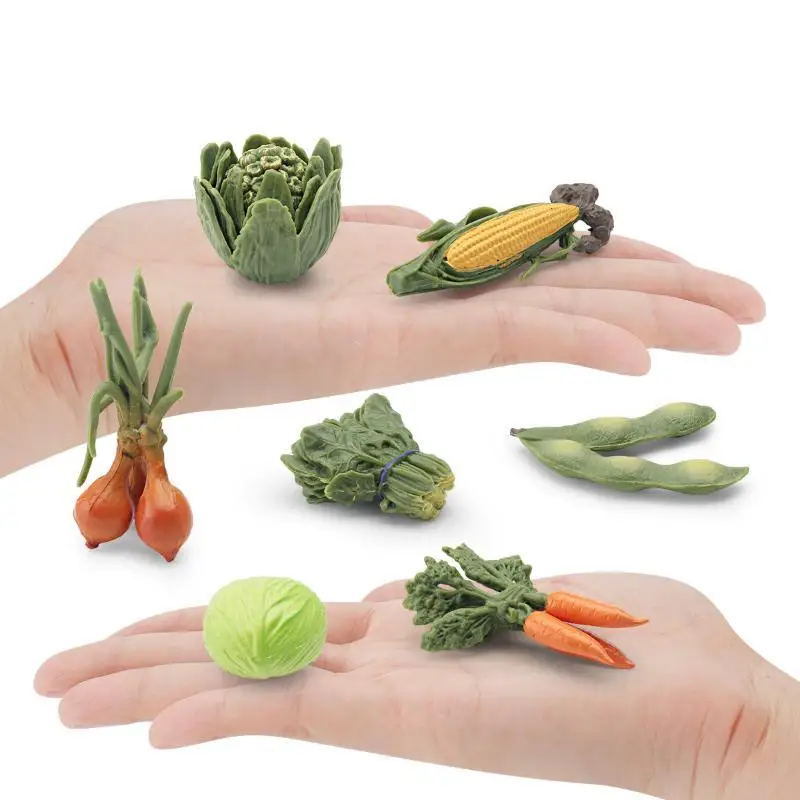 Realistische Gemüsemodelle: Kohl, Karotte, Zwiebel, Mais – Lernspielzeug für Kinder im Kindergartenalter, frühe Lernaktivitäten – Detail 4