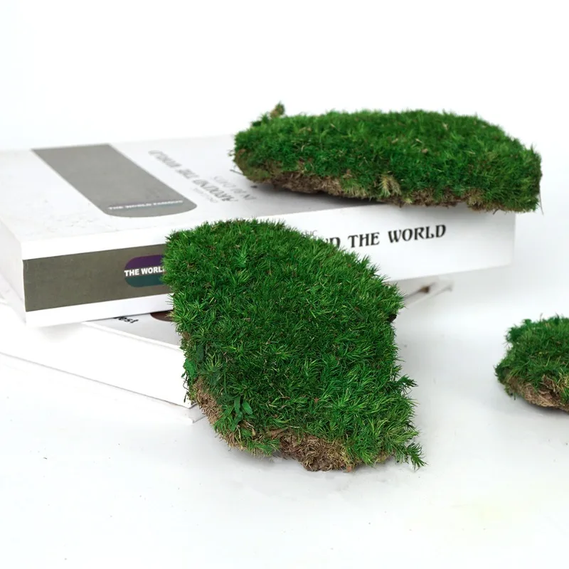 Preserved Moss Block Green Grass Moss Miniature Artificial Green Plants Home Garden Decoration DIY Mini Landscape Fake Grass