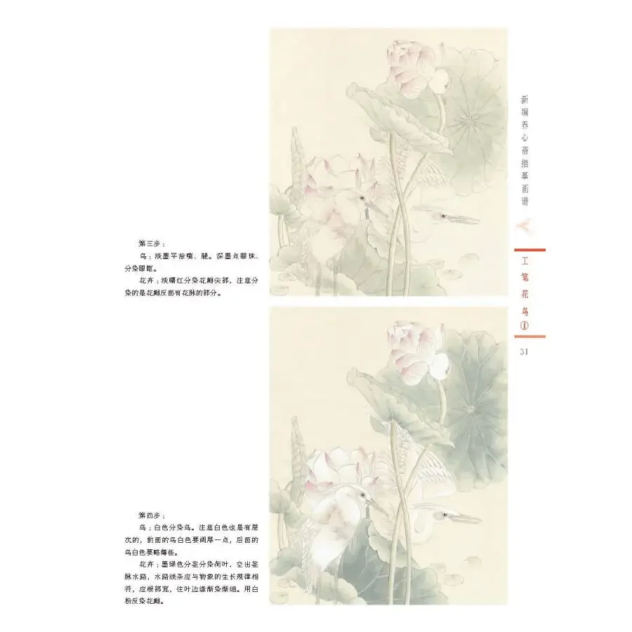 Traditional Chinese Gongbi Bai Miao Flower Birds Drawing Painting Art Book for Beginner