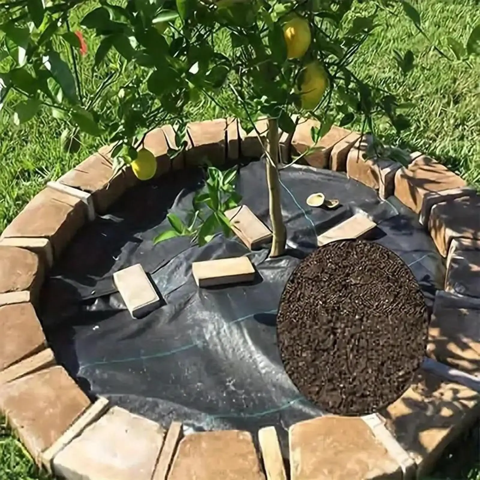 Ground Cover Fabric Garden Tarp With Holes Black Fruit Tree Cover With Ground Nails For Greenhouse Hillside Erosion Playground