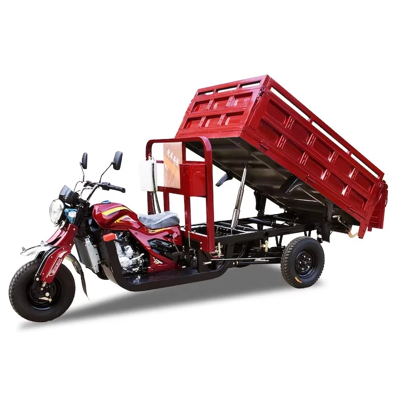 

Scooter Tricycle gasoline Car Mini Car gasoline Vehicle Three Wheel