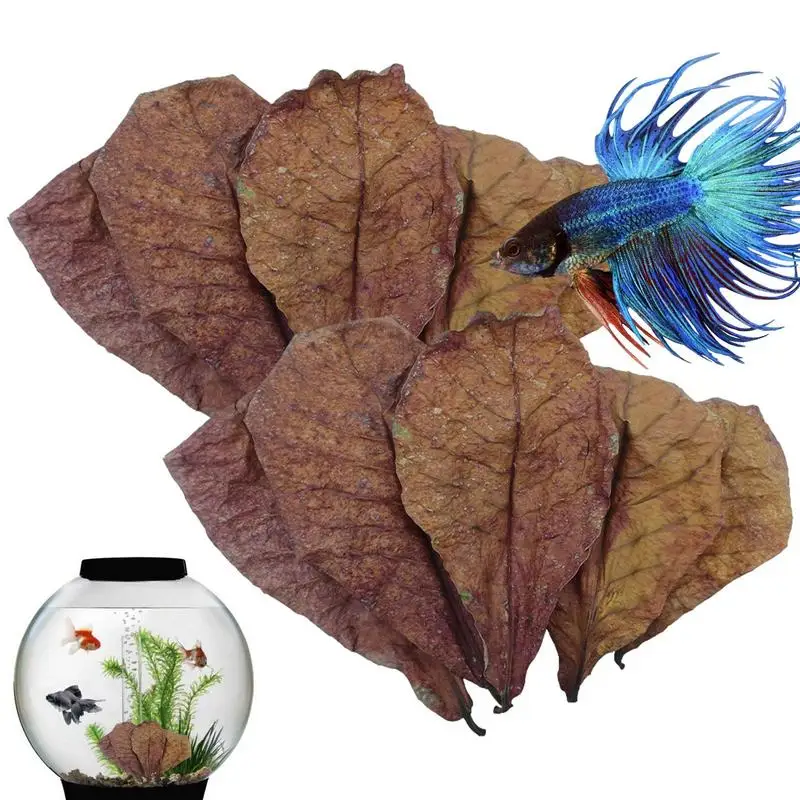 10/20/50pcs Aquarium Catappa Leaves Betta Shrimp Leaves Indian Almond Leaves PH Balance Water Conditioner For Aquarium FishTank