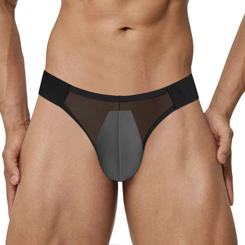 

Mesh Underpants Sexy Mens Lingerie See Through Briefs Mens Sexy Underwear Low Waist Lingerie All Seasons Solid Color