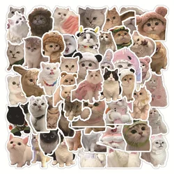 Waterproof Cartoon Cat Graffiti Adesivo, Adesivos Decorativos Estéticos, Bagagem, Copo, Guitarra, Laptop, Telefone, Notebook, Crianças, 10 Pcs, 30 Pcs, 60Pcs