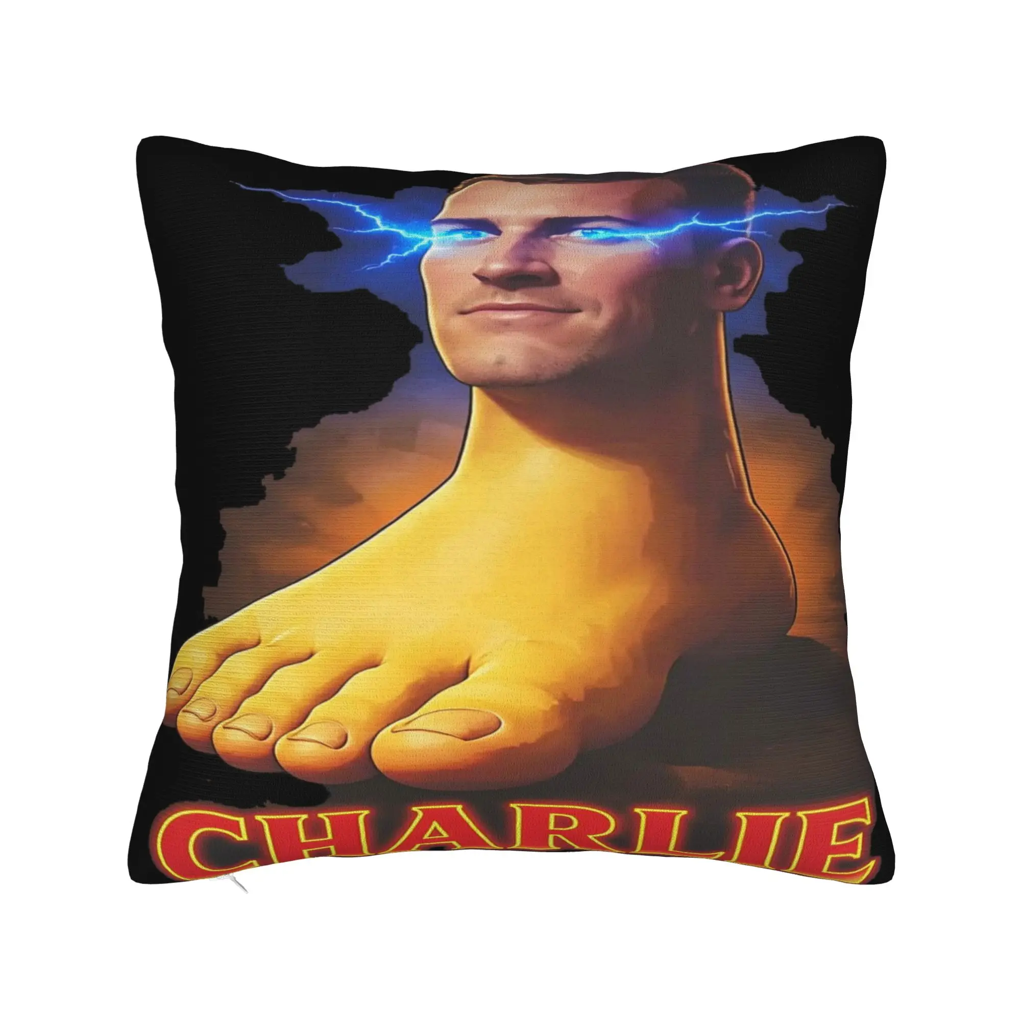 I Love Charlie Kirk Meme Pillow Case  Morden Pillow Cover Square Pillowcases For Chair Sofa Home Decor