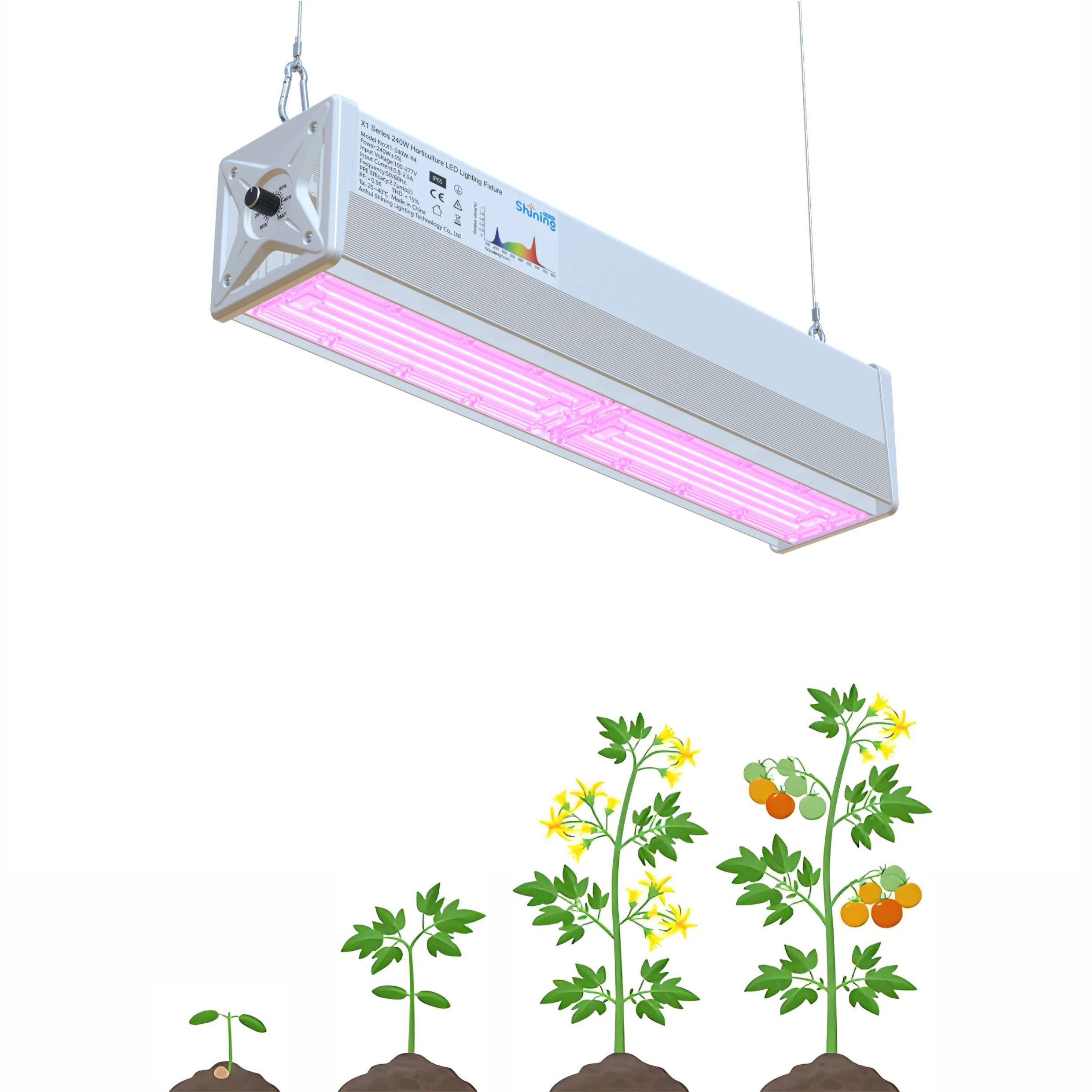 

Shining Lighting Full Spectrum LED Growing Lights 240Watt/320Watt for Seedling, Flowering, Fruiting–Indoor Plants, Greenhouse